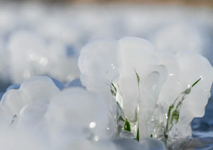 贵州迎宾酒：大寒已至，霜雪尽染，静待春归