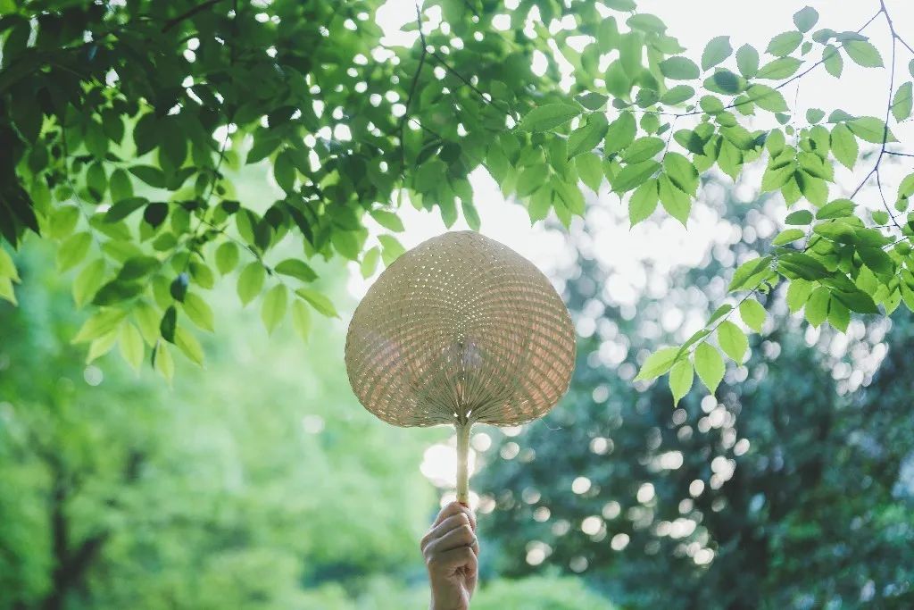 贵州迎宾酒，斟一味醇酿，叙一盏夏梦